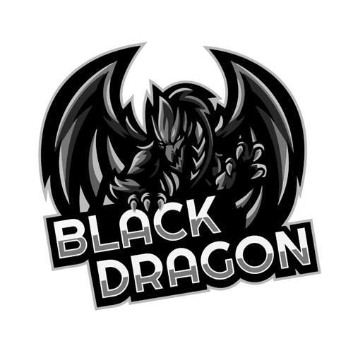 хоккейный клуб Black Dragon